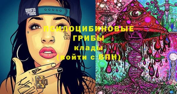 таблы Елабуга