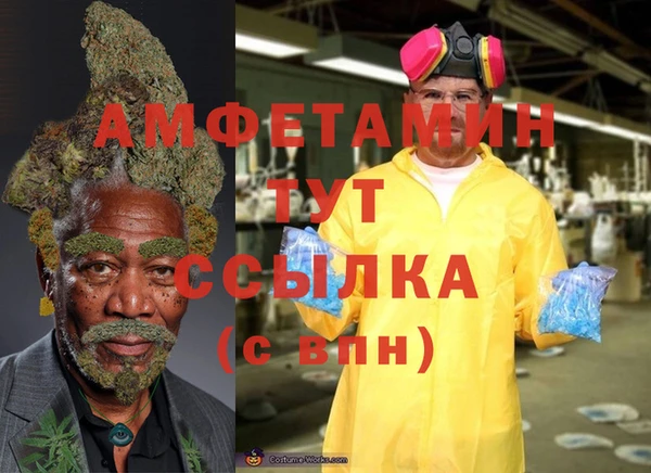 амф Дмитриев