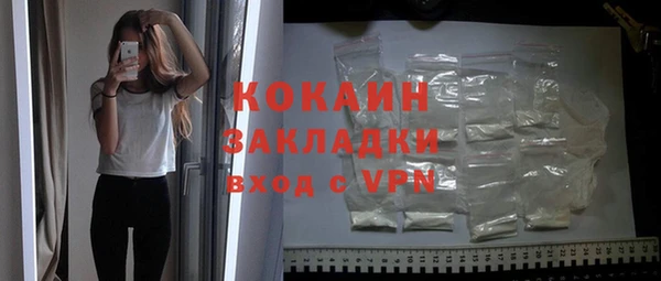 амф Дмитриев