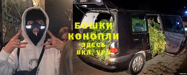 ECSTASY Дмитровск