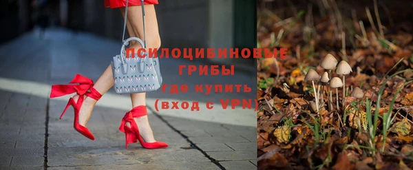 ECSTASY Дмитровск
