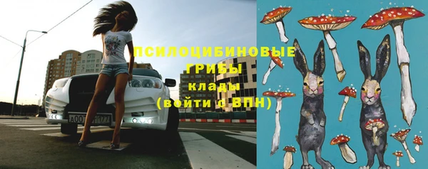 амф Дмитриев