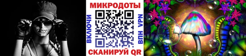 купить закладку Елизово Псилоцибиновые грибы Psilocybine cubensis
