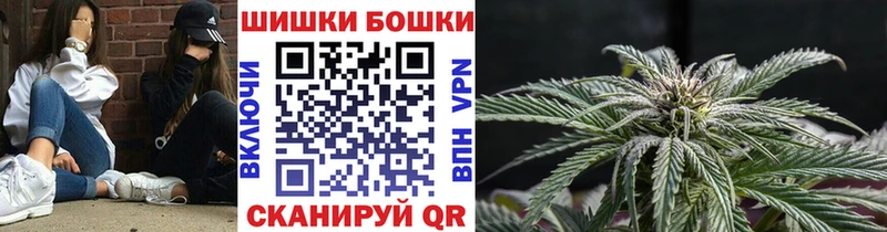 продажа наркотиков  ОМГ ОМГ ССЫЛКА  Конопля Amnesia  Елизово 
